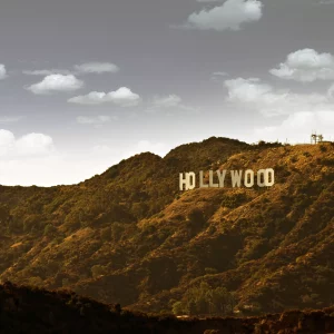 Intellectual Property Law