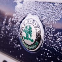 Trademark & Brand Protection